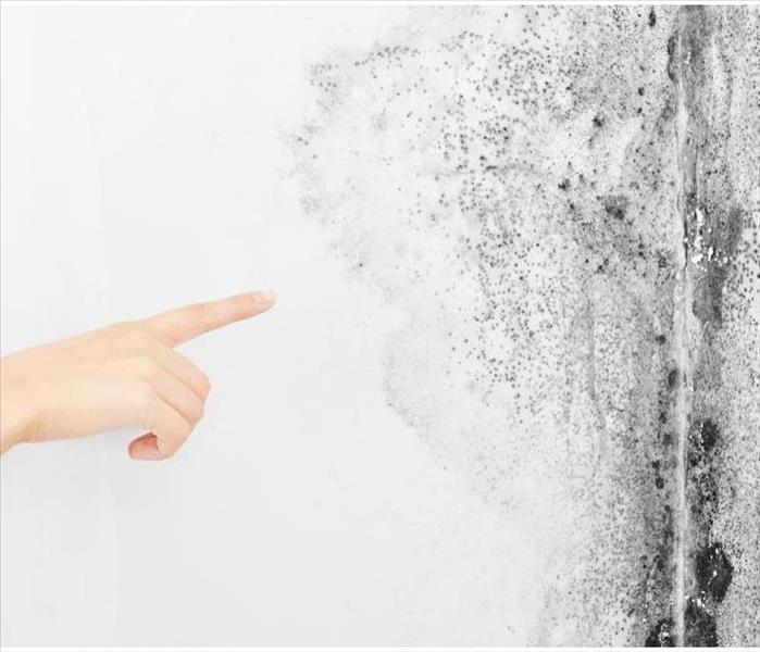 Mold. Aspergillus. The finger of the hand points to the black fungus on the white wall.